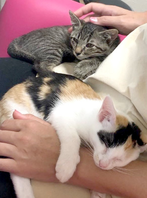 つぶちゃん & まめちゃん