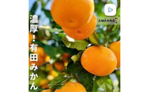 パンタイム大畑大介商店フレッシュ＆こだわりの野菜や果物がズラリ！！